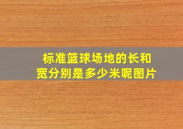 标准篮球场地的长和宽分别是多少米呢图片