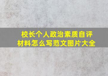 校长个人政治素质自评材料怎么写范文图片大全