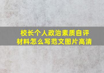 校长个人政治素质自评材料怎么写范文图片高清