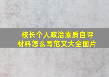 校长个人政治素质自评材料怎么写范文大全图片