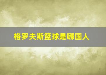 格罗夫斯篮球是哪国人