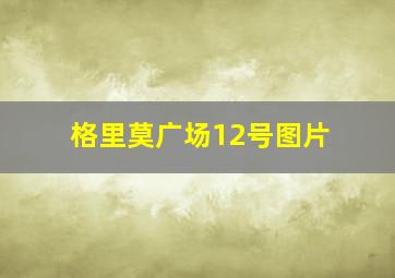 格里莫广场12号图片