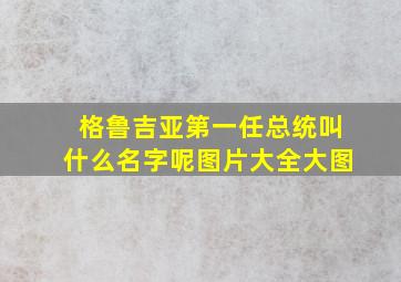 格鲁吉亚第一任总统叫什么名字呢图片大全大图