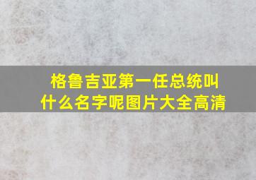 格鲁吉亚第一任总统叫什么名字呢图片大全高清