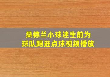 桑德兰小球迷生前为球队踢进点球视频播放