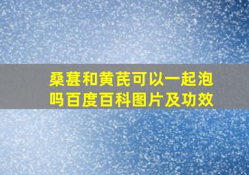 桑葚和黄芪可以一起泡吗百度百科图片及功效