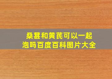 桑葚和黄芪可以一起泡吗百度百科图片大全