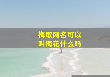 梅取网名可以叫梅花什么吗