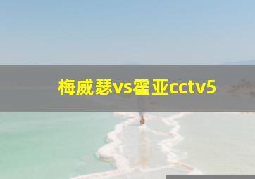 梅威瑟vs霍亚cctv5