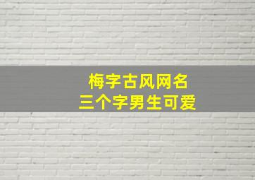 梅字古风网名三个字男生可爱