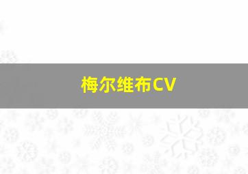 梅尔维布CV