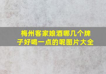 梅州客家娘酒哪几个牌子好喝一点的呢图片大全