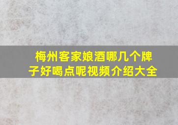 梅州客家娘酒哪几个牌子好喝点呢视频介绍大全