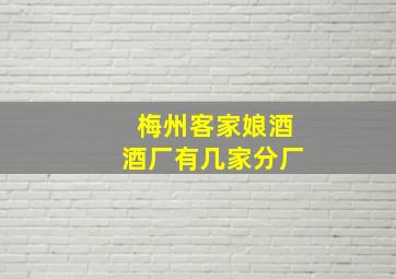 梅州客家娘酒酒厂有几家分厂