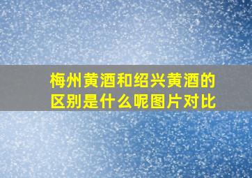 梅州黄酒和绍兴黄酒的区别是什么呢图片对比