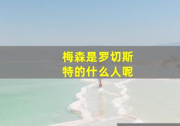 梅森是罗切斯特的什么人呢