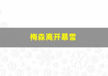 梅森离开暴雪