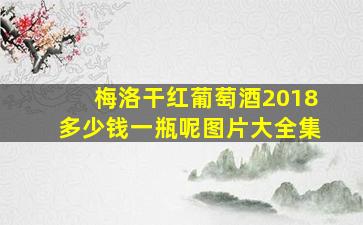 梅洛干红葡萄酒2018多少钱一瓶呢图片大全集