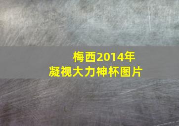 梅西2014年凝视大力神杯图片