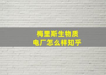 梅里斯生物质电厂怎么样知乎