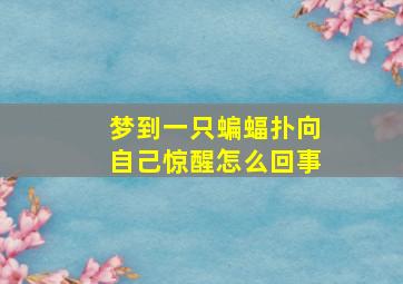 梦到一只蝙蝠扑向自己惊醒怎么回事