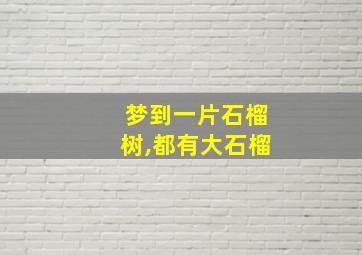 梦到一片石榴树,都有大石榴