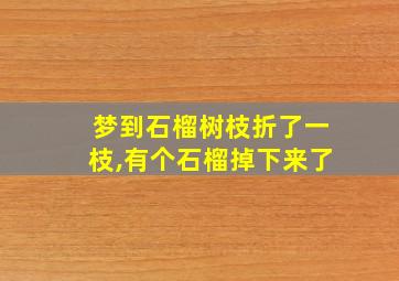 梦到石榴树枝折了一枝,有个石榴掉下来了