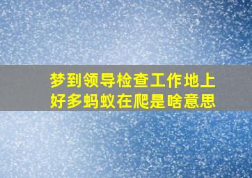 梦到领导检查工作地上好多蚂蚁在爬是啥意思