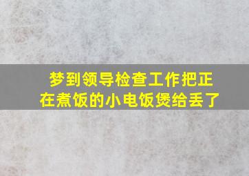 梦到领导检查工作把正在煮饭的小电饭煲给丢了