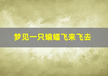 梦见一只蝙蝠飞来飞去