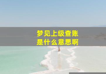 梦见上级查账是什么意思啊