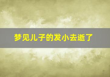 梦见儿子的发小去逝了