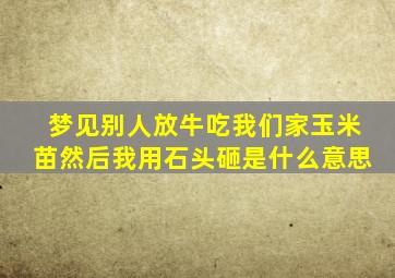 梦见别人放牛吃我们家玉米苗然后我用石头砸是什么意思