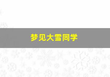 梦见大雪同学