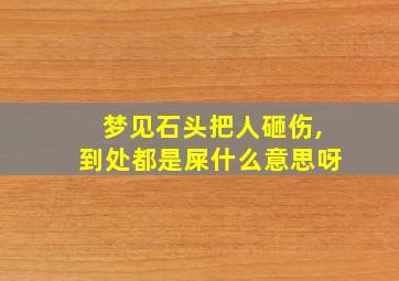 梦见石头把人砸伤,到处都是屎什么意思呀