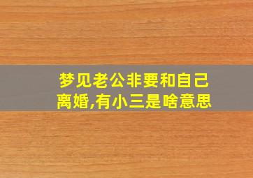 梦见老公非要和自己离婚,有小三是啥意思