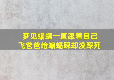 梦见蝙蝠一直跟着自己飞爸爸给蝙蝠踩却没踩死