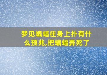 梦见蝙蝠往身上扑有什么预兆,把蝙蝠弄死了