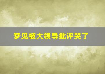 梦见被大领导批评哭了