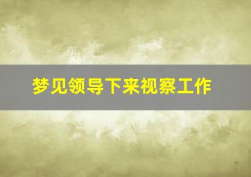 梦见领导下来视察工作