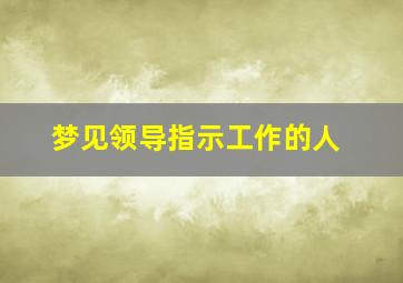 梦见领导指示工作的人