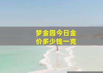 梦金园今日金价多少钱一克