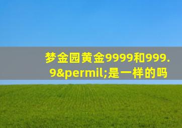 梦金园黄金9999和999.9‰是一样的吗