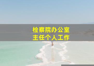 检察院办公室主任个人工作