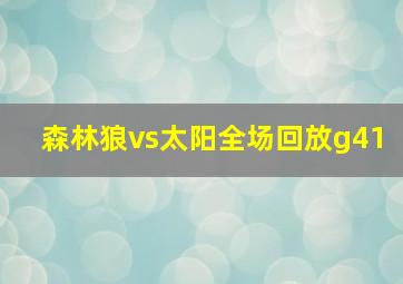 森林狼vs太阳全场回放g41