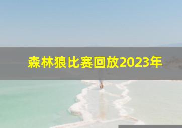 森林狼比赛回放2023年