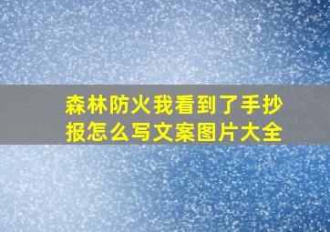 森林防火我看到了手抄报怎么写文案图片大全