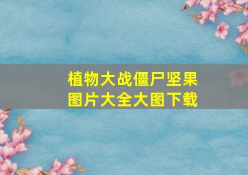 植物大战僵尸坚果图片大全大图下载