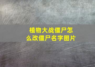 植物大战僵尸怎么改僵尸名字图片