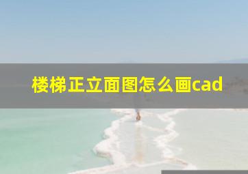 楼梯正立面图怎么画cad